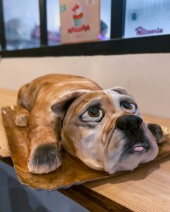 gateau bulldog